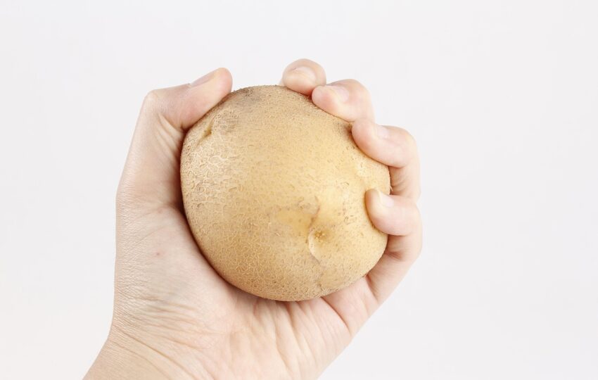 被手抓住的馬鈴薯