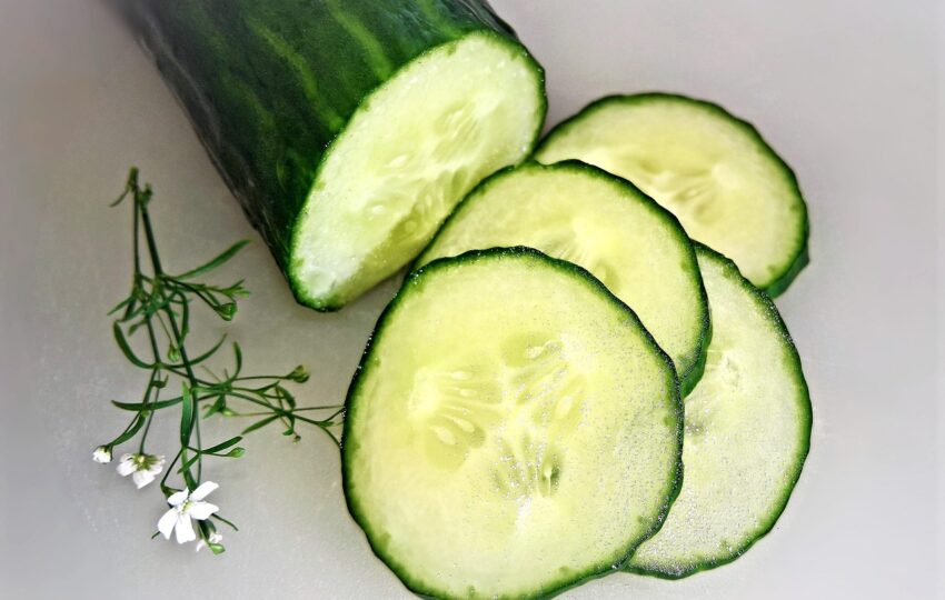 切片的小黃瓜