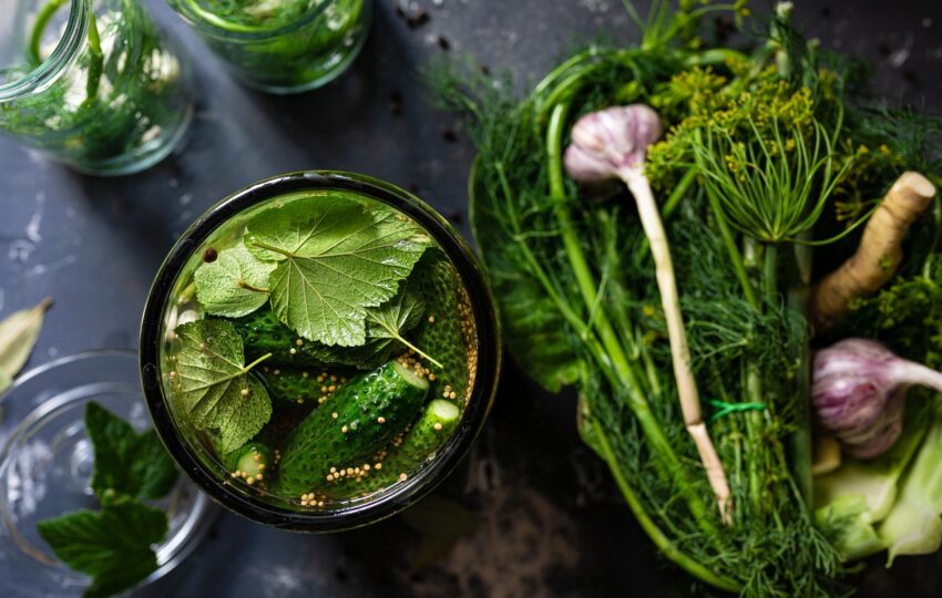 與其他菜葉一起醃入罐子內的黃瓜